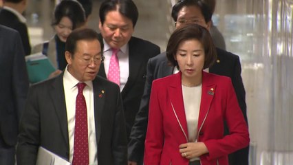 나경원 "추경은 세금 퍼주기...예비비 먼저 써야" / YTN