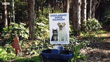 Beylikdüzü'nde yaşayanlar eski belediye başkanları Ekrem İmamoğlu için ne diyor?