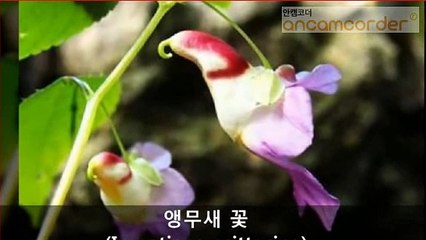(성동출장마사지) (##E) -100%후불-【 ØlØ↔9542↔2679 】성동출장안마, 성동출장안마후기, 성동출장안마'만족ひ성동출장안마'만족도1위 20대여대생의 최상위 서비스