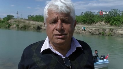 Yavru Akdeniz Foku, Avlanmak İsterken Kendini Aksu Çayı'nda Buldu