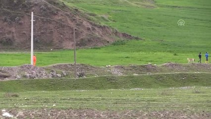 Kaybolan 3 Yaşındaki Çocuğu Arama Çalışmaları Sürüyor