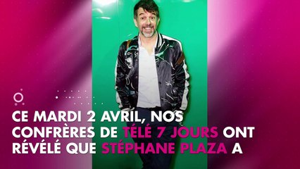 Stéphane Plaza contrôlé par la police pour conduite imprudente