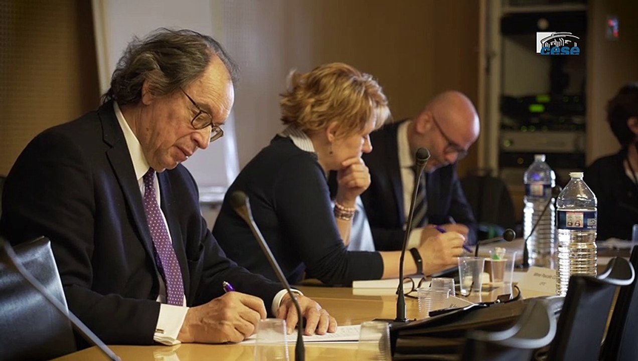 Questions à l' Agence nouvelle des solidarités actives - grande pauvreté - cese