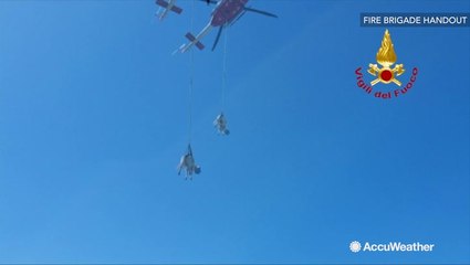 Stranded cow airlifted to safety