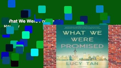 What We Were Promised  Review