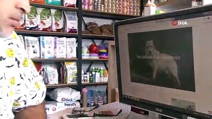 Antalya'da Kurdun Kaçtığı Bölge Havadan Görüntülendi