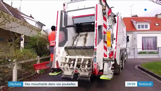 Déchets : des mouchards dans vos poubelles