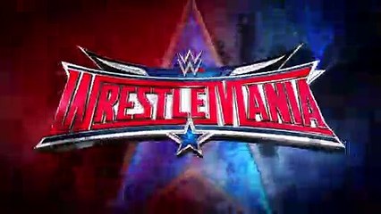 One on one steel cage match (WWE 2K17)