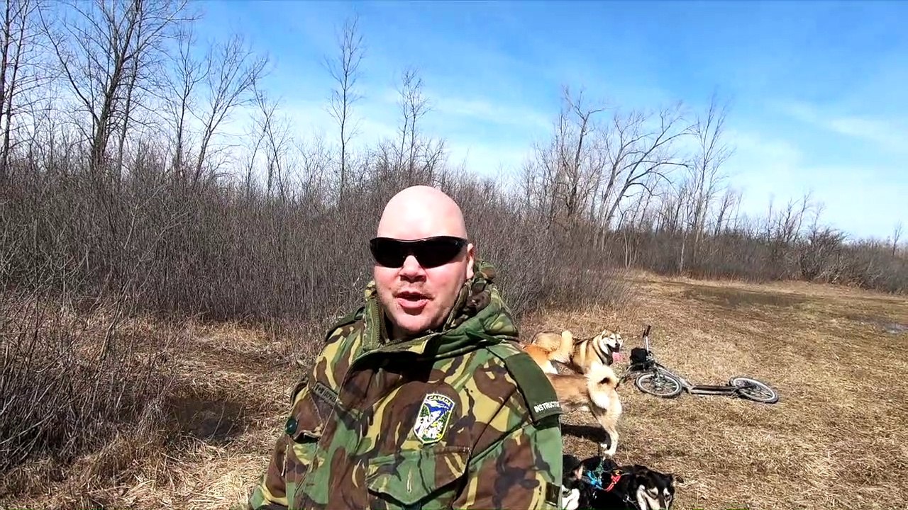 Dog Running April 2, 2019