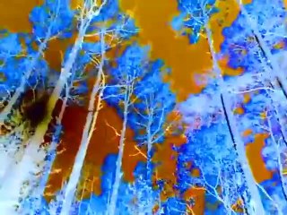 Baby Van Gogh in G Major [Part 1]