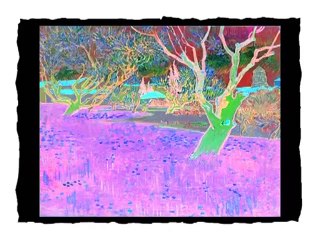 Baby Van Gogh in G Major [Part 2]