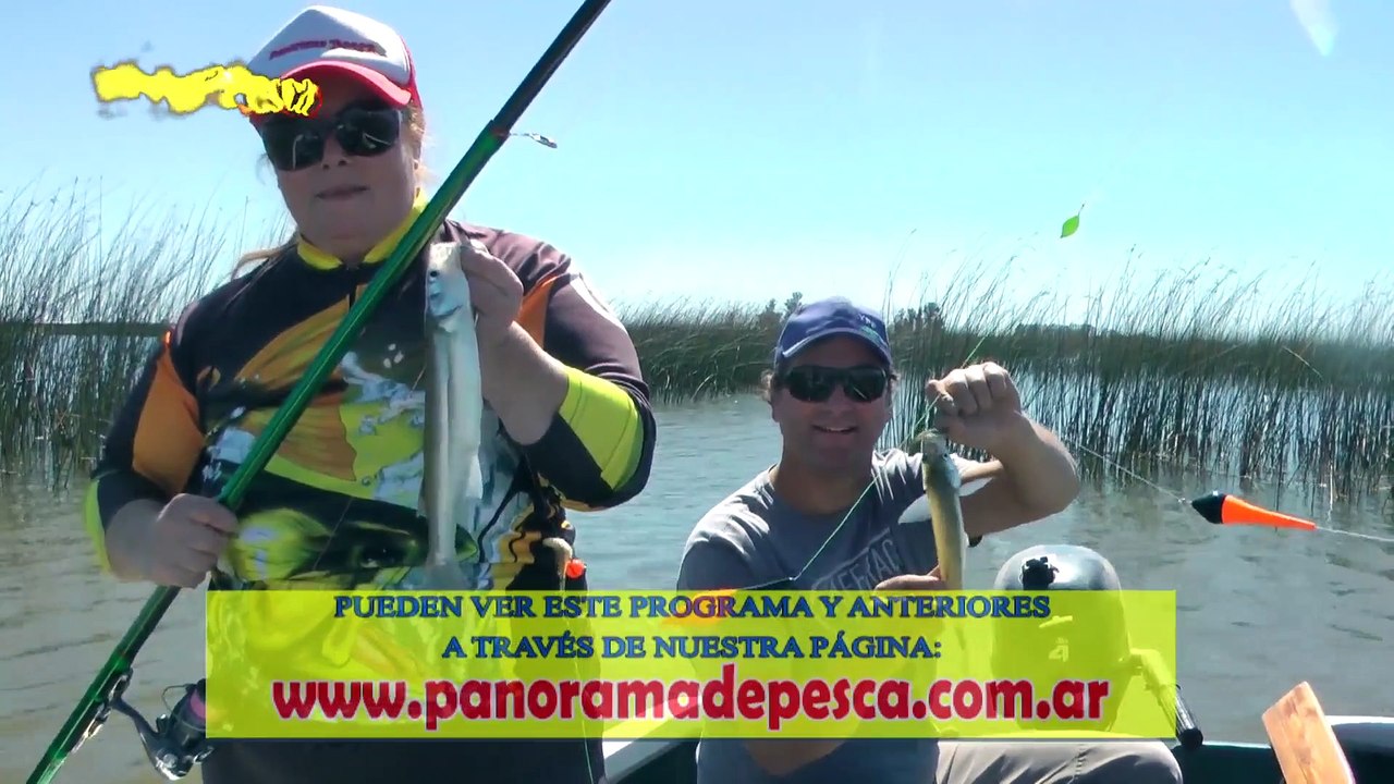 Panorama TV 429