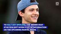 Tom Holland Wasn't Given a Script for 'Avengers: Endgame'