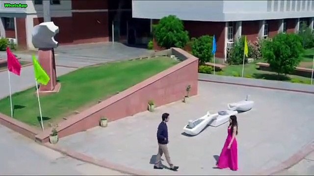 Ban Ja Tu Meri Rani Tumhari Sulu Guru Randhawa WhatsApp Status Video