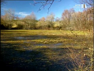 Horizontes da Memória, V #46, O último paraíso, 14 Fev 1999