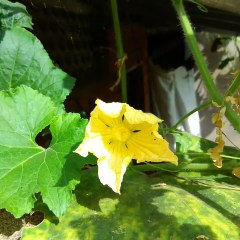 Nature's beauty and bounty