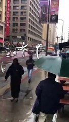 Everything Is Better With Doodles   Doodland #16