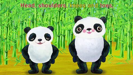 Head Shoulders Knees and Toes - Children Songs