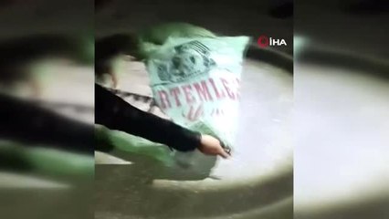 Kralın Mezar Taşını Satarken Yakalandılar