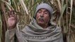Sugar rush fades for Indian farmers ahead of vote
