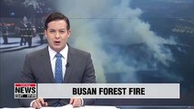 Busan forest fire contained after 18 hours; no casualties reported