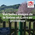 Vos belles images de la Saone-et-Loire au printemps