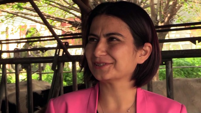 Baba vasiyetiyle başkanlık koltuğuna yeniden oturdu - İZMİR