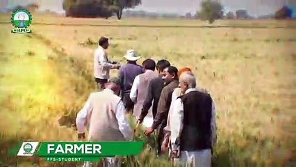 world_bank_missions_inspection_visit_to_review_siapep_progress