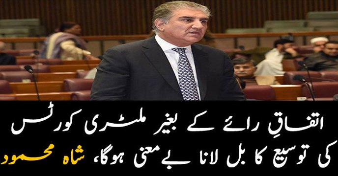 Govt to ensure implementation of National Action Plan: Qureshi