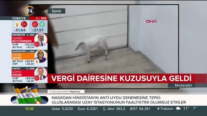 Kuzusu peşini bırakmadı
