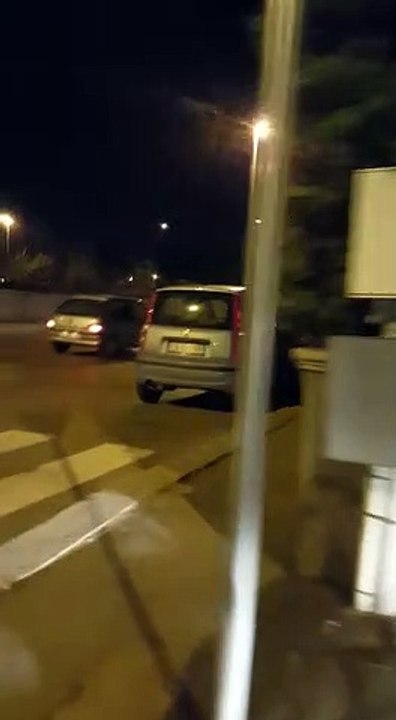 Enormi cinghiali a spasso per Bari