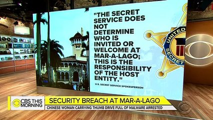 Chinese woman with malware thumb drive arrested