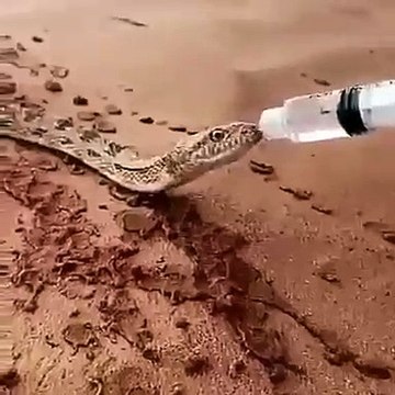 insanlık şefkat ve merhamet