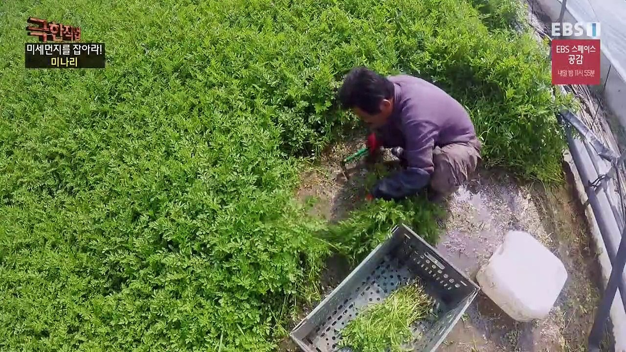 [EBS] 극한직업.E856.190403.720p_clip2