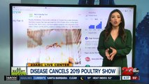 Kern County Fair cancels 2019 Poultry Show due to disease outbreak