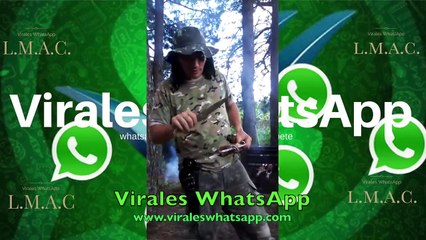 Los Mejores Virales de WhatsApp Marzo 2019