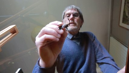 Laurent Verron : « C’est un vrai défi de dessiner Juliette en la faisant vieillir »