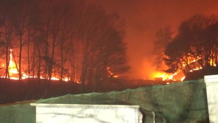 포항 대송면 야산에 불...주민 40여명 대피 / YTN