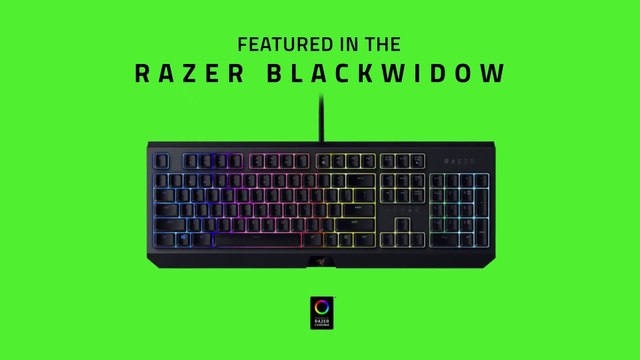 Razer Blackwidow 2019 - Trailer