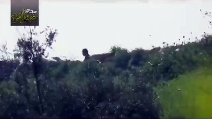 قنص عنصر لمليشيات أسد الطائفية بريف حماة الشمالي