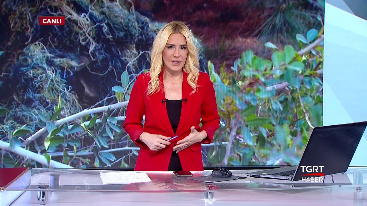 Kahraman Mehmetçik Teröristleri İşte Böyle Avlıyor