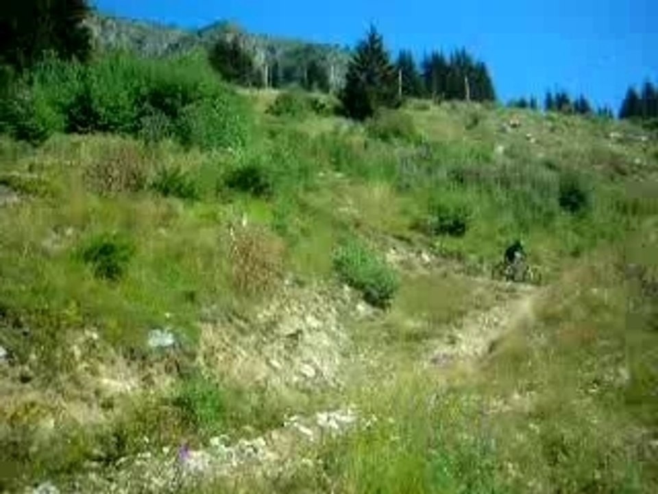 descente dans les alpes d'huez