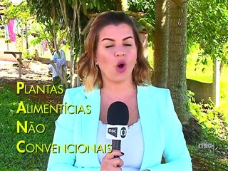 Plantas alimenticias se transforman en una alternativa para la alimentación y llaman la atención de los agricultores.