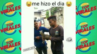 VIDEOS DE HUMOR  MARZO 2019 - humor videos march 2019