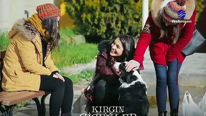 Kırgın Çiçekler 113. Bölümde Sürpriz Gelişmeler! (KIRGIN ÇİÇEKLER FİNAL)