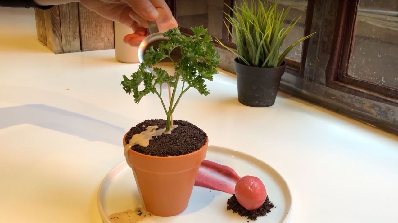 This Gorgeous Plant...Is Actually A Cake!