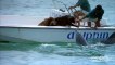 Un dauphin vient faire des bisous aux chiens dans un bateau