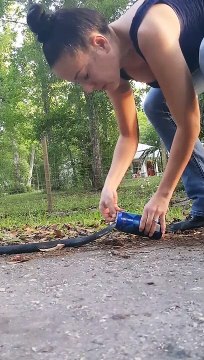 Ils sauvent un serpent dangereux coincé dans une canette