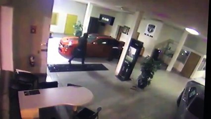 Le vol de voiture le plus efficace jamais vu...