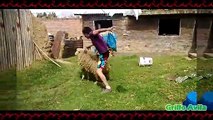 Troleando cabras y Ovejas - Cabras Y Ovejas Locas #2